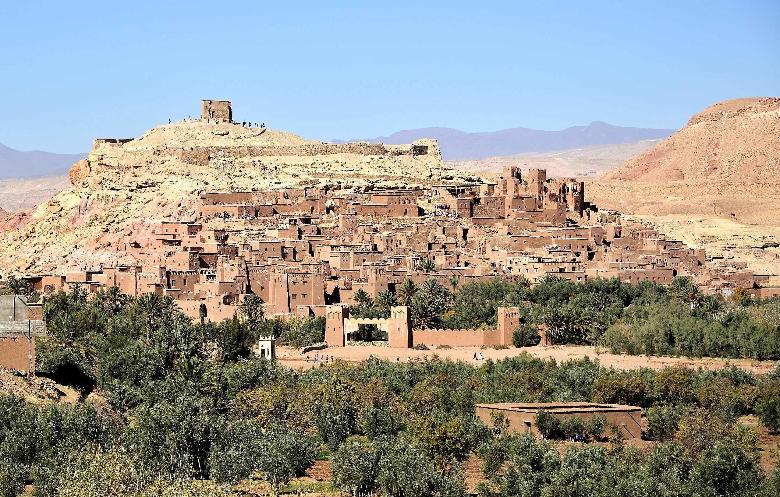 Фото: Wikimedia Commons, ER Bauer