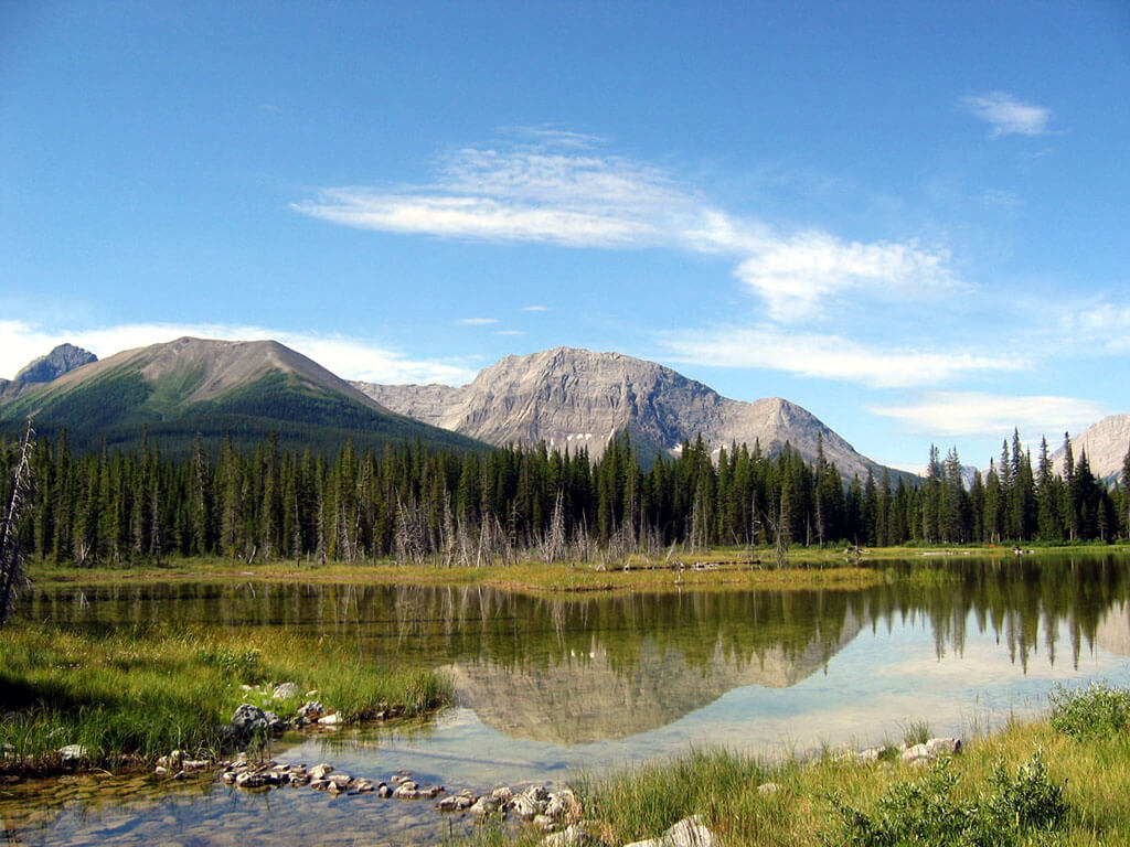 Фото: Wikimedia Commons, Alexis Harrison