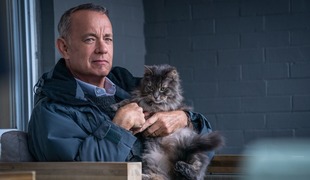 Взбодриться и влюбиться: блистательные фильмы, которые возвращают радость жизни